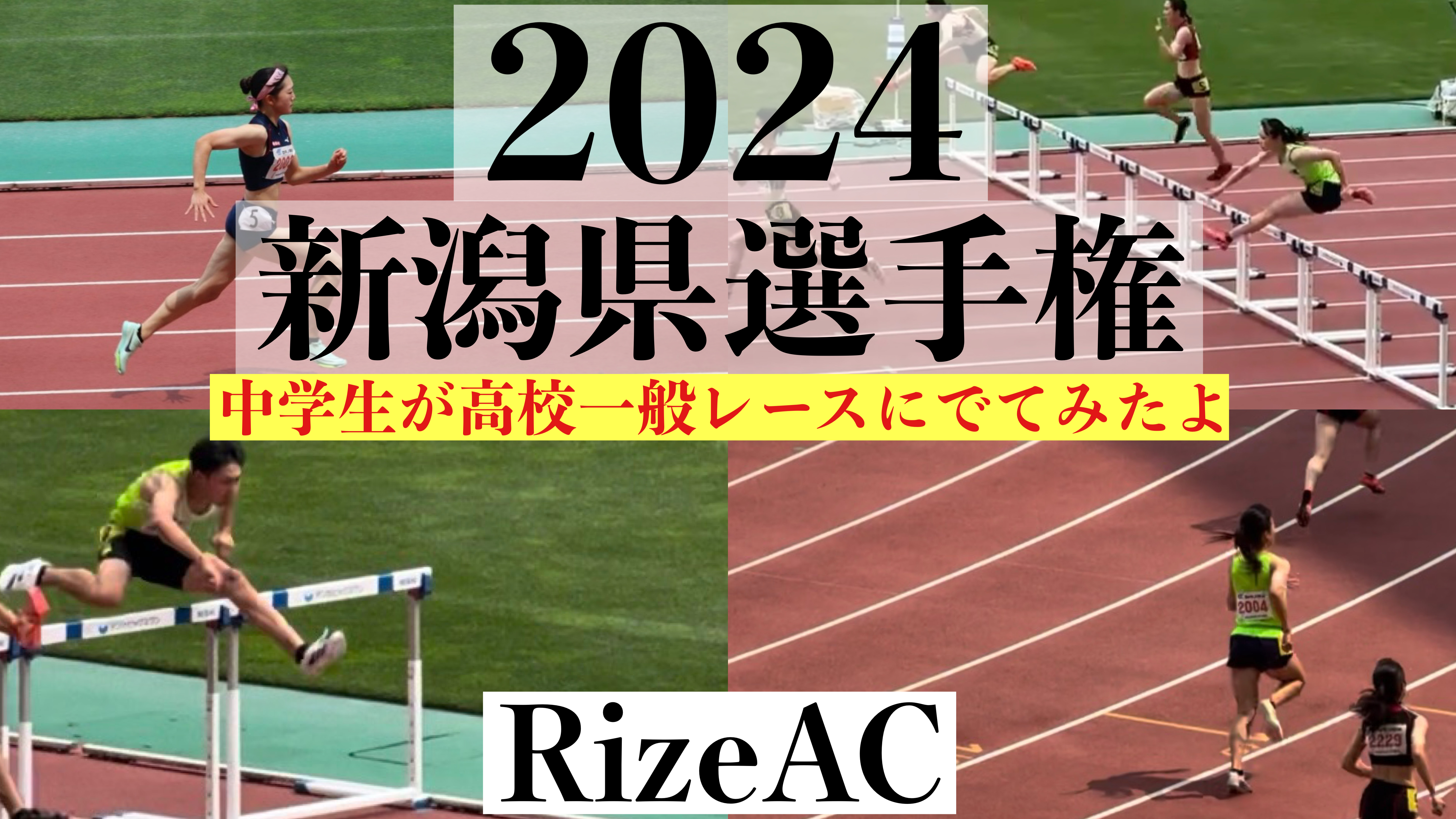 2024新潟県選手権大会